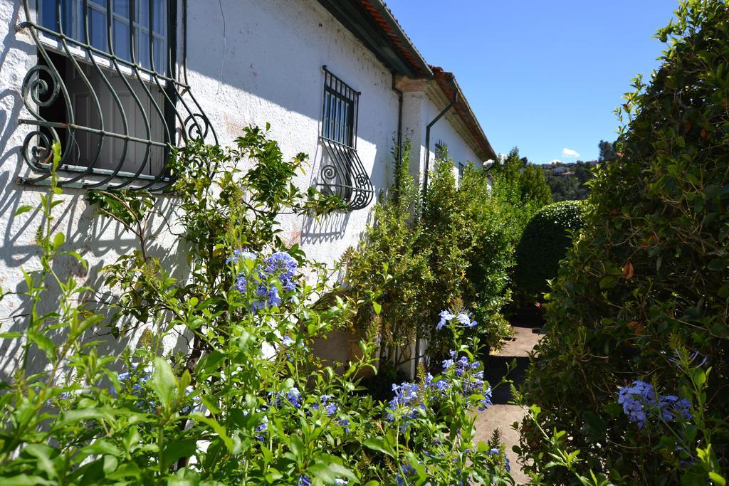 Casa Do Campo - Turismo De Habitacao Bed and Breakfast Celorico De Basto Exteriör bild